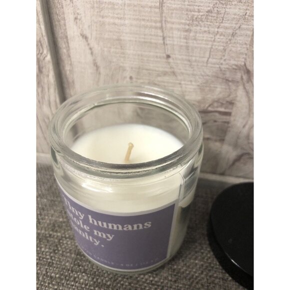 Lavender & Driftwood 4 oz Bergamot Candle Tiny Humans Stole My Sanity - Picture 2 of 2